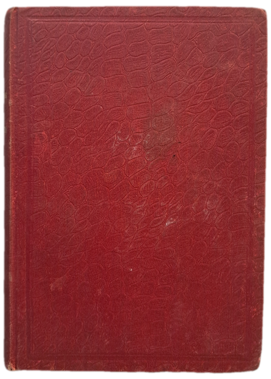 As Duas Mães II (Usado)