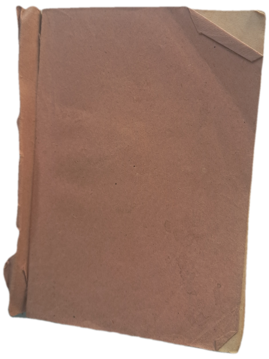 Rudimentos de Gramática Portuguesa (Usado)