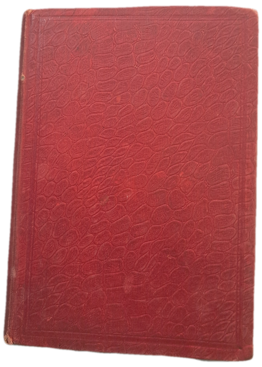 As Duas Mães VI (Usado)