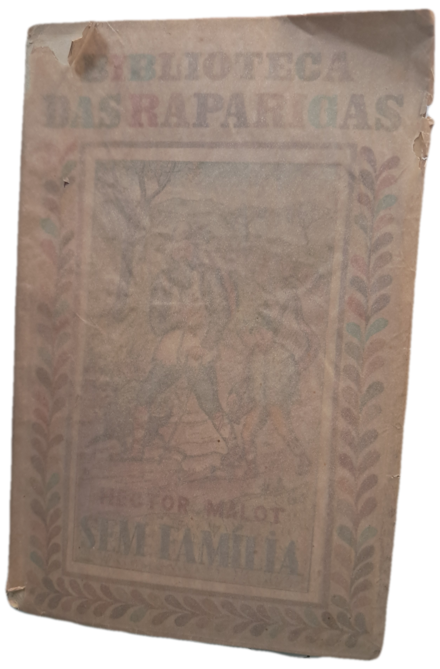 Sem Família II (Usado)