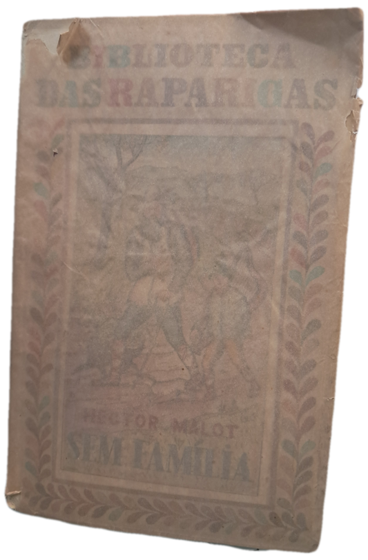 Sem Família II (Usado)