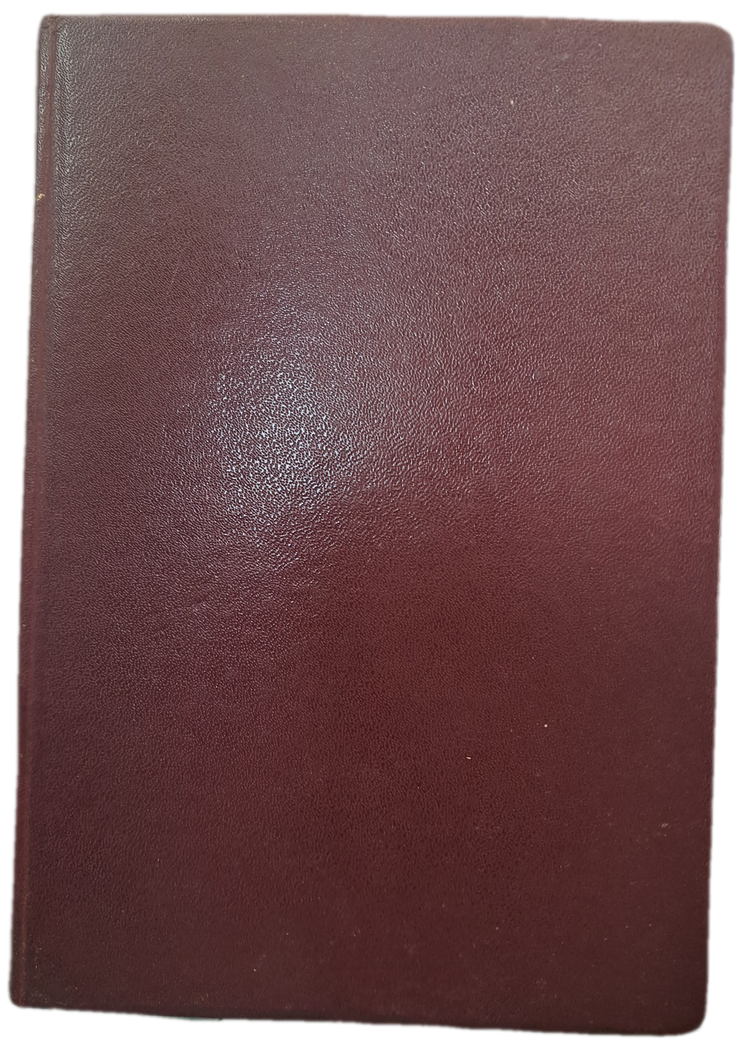 Terra Bendita (Usado)