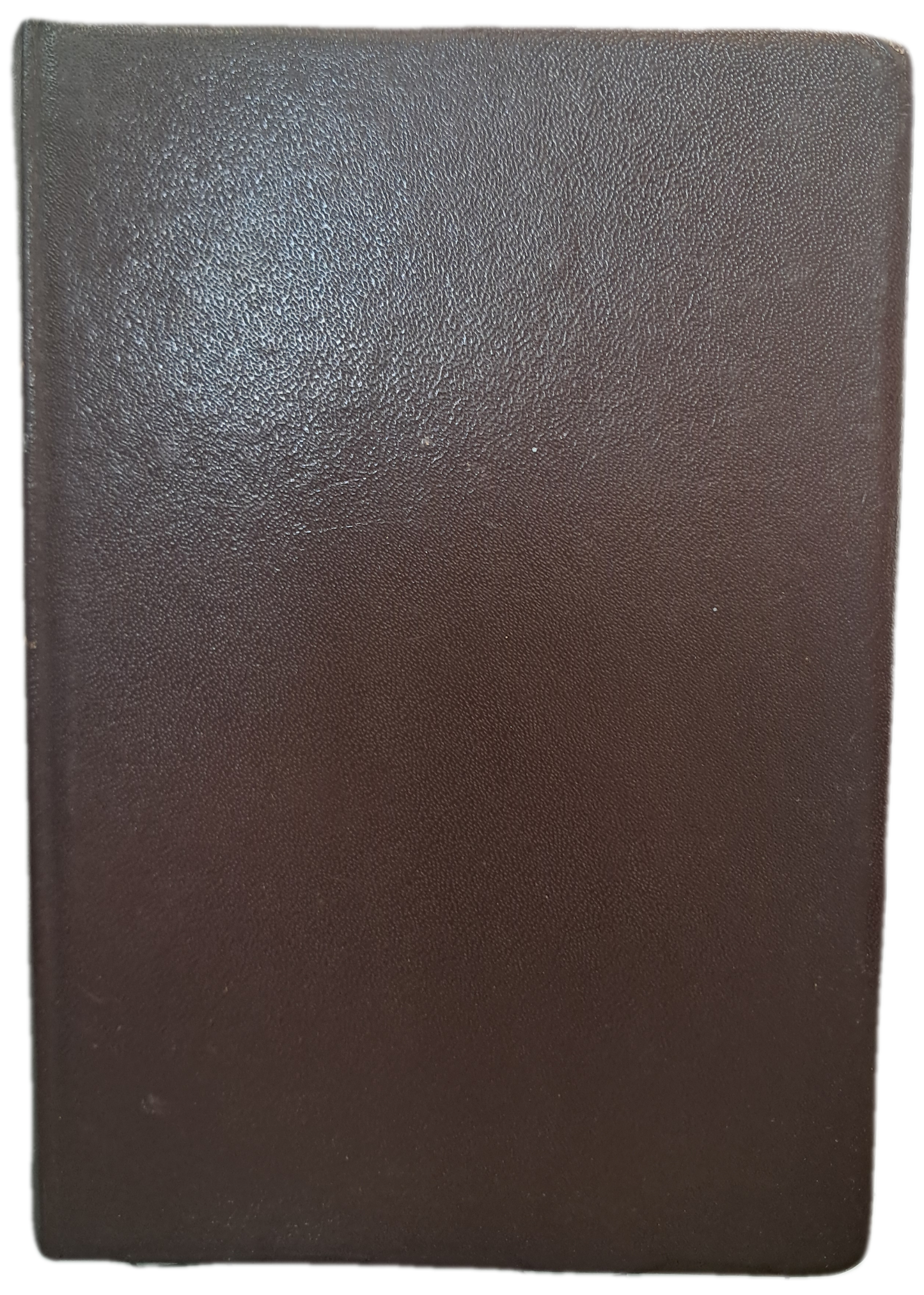 Filhos do Dragão (Usado)