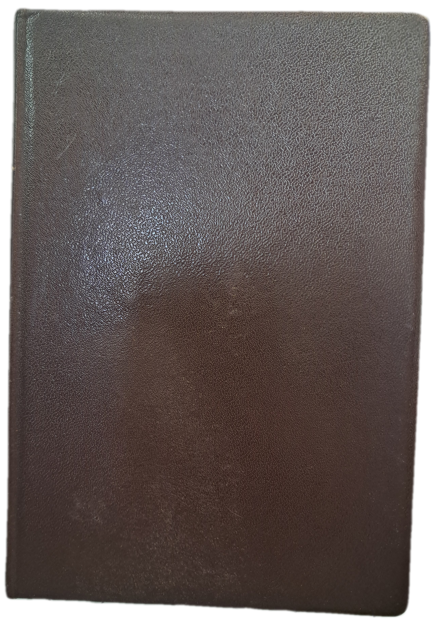 A Mulher das Mãos Suaves (Usado)