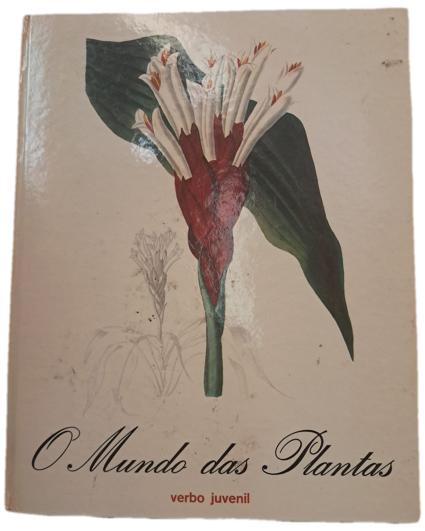 O Mundo das Plantas (Bom Estado)