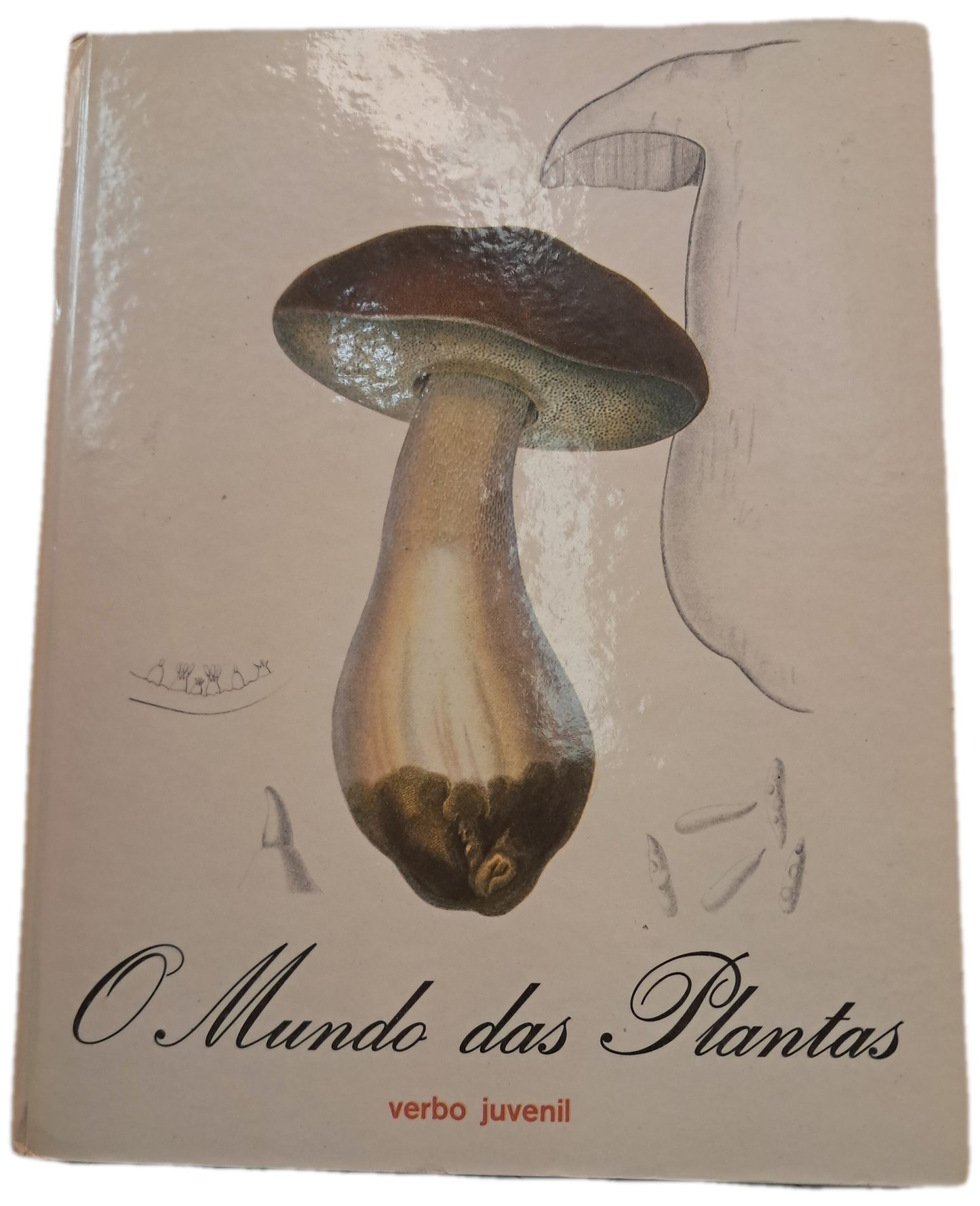 O Mundo das Plantas (Bom Estado)