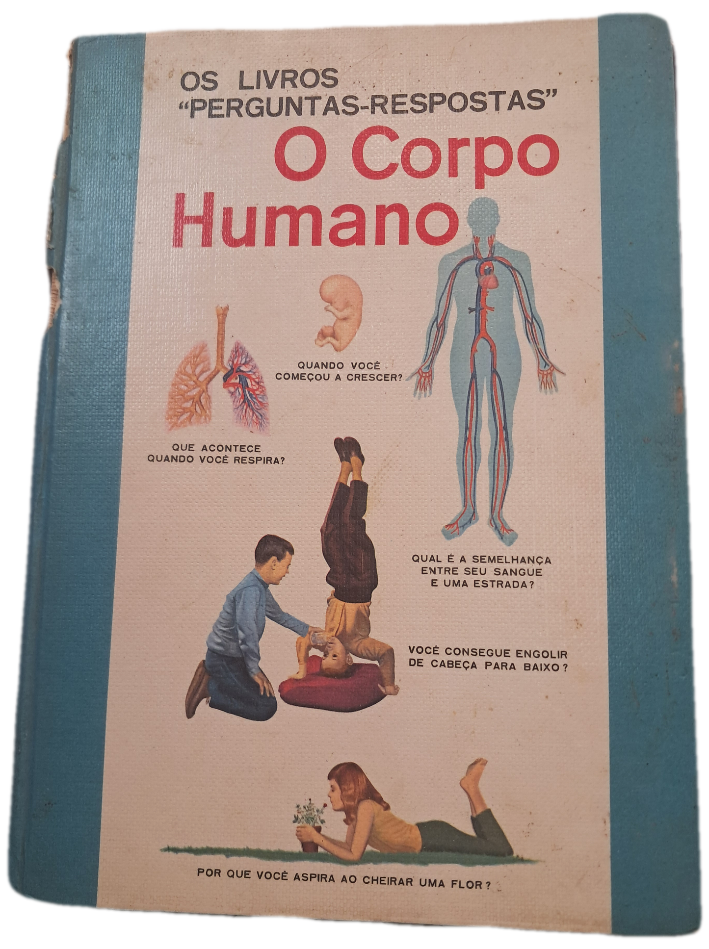 O Corpo Humano (Usado - Lombada Parcialmente Danificada)