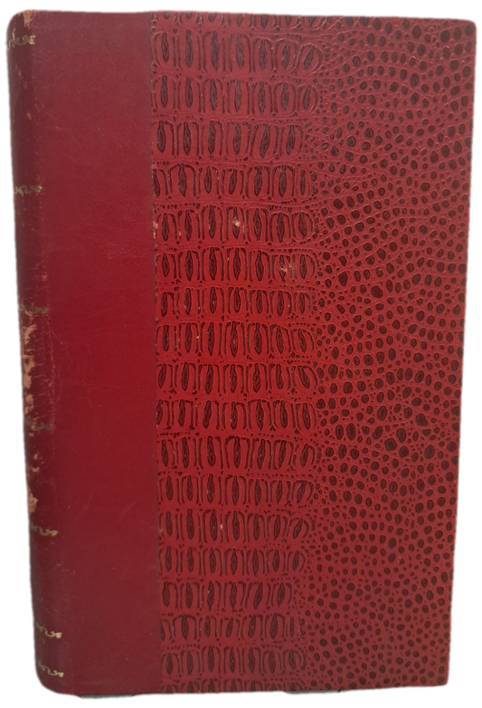 O Primo Basilio (Usado)