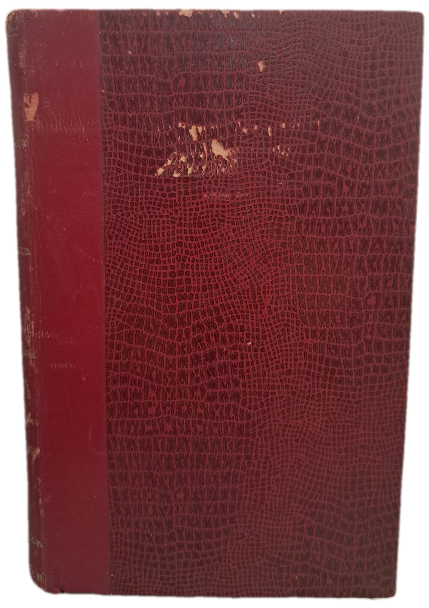 Os Meus Amores (Usado)