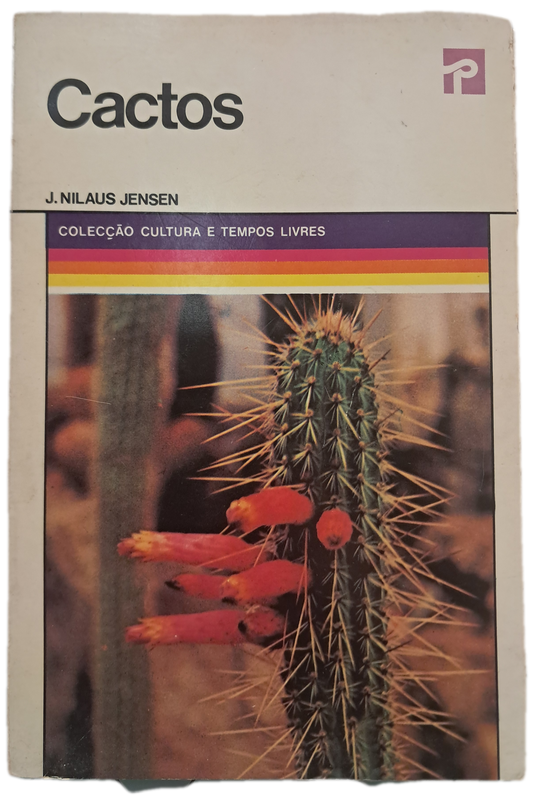 Cactos (Usado)