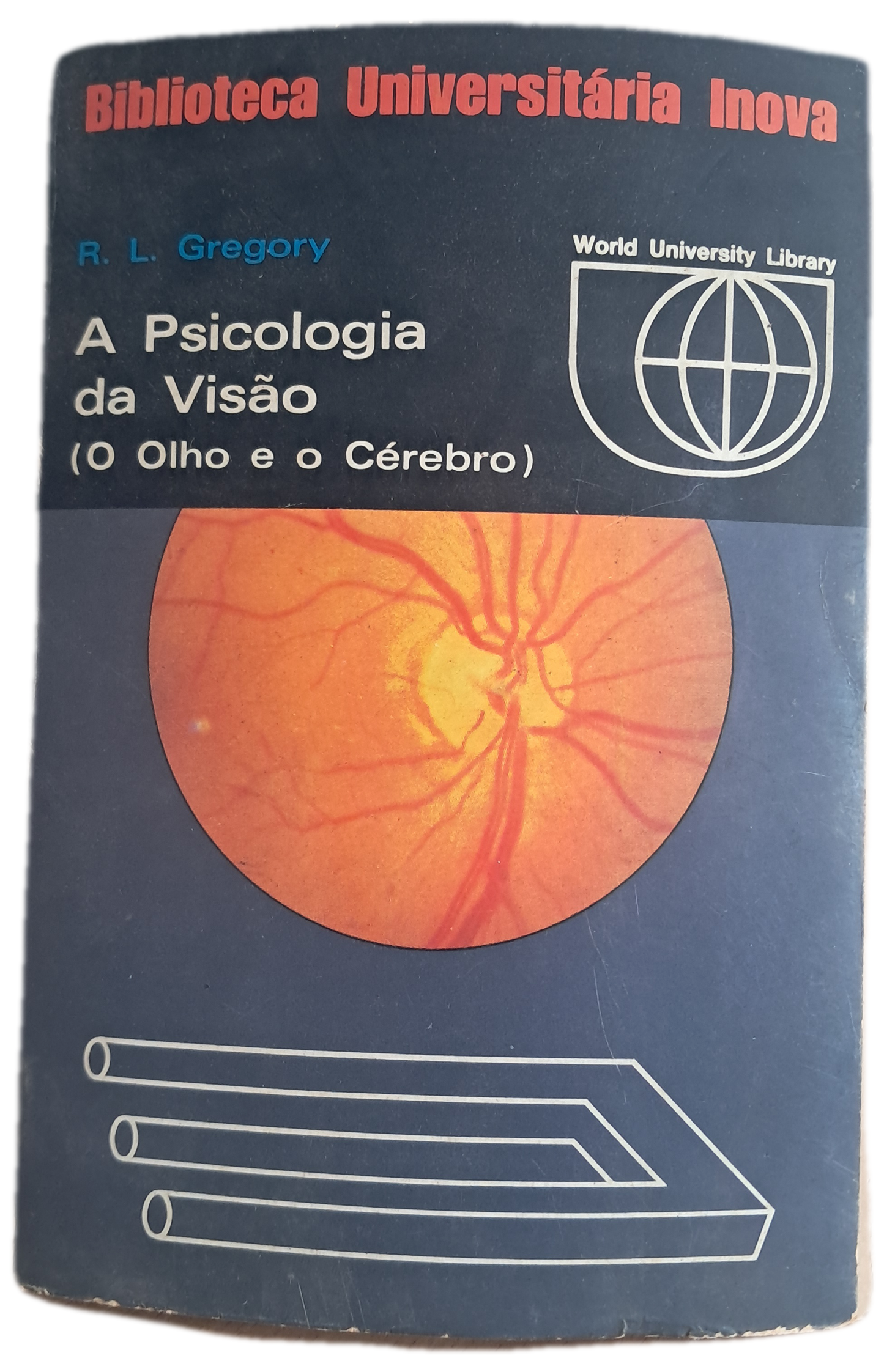 A Psicologia da Visão (Usado)