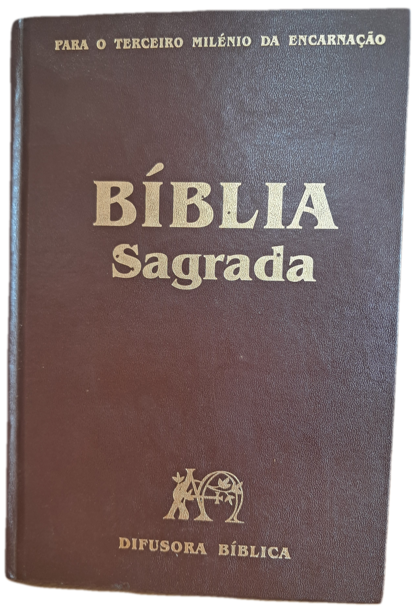 Bíblia Sagrada (Muito Bom Estado)
