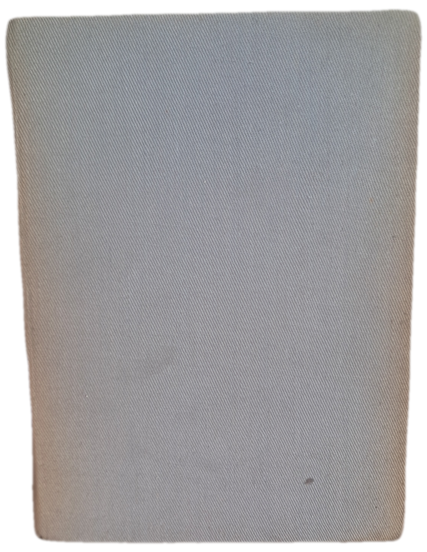 Dicionário da Língua Portuguesa VII (Usado)