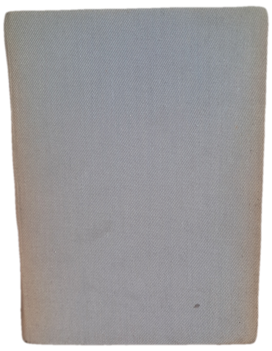 Dicionário da Língua Portuguesa VII (Usado)