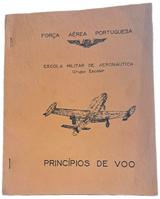 Principios de Voo (Usado)