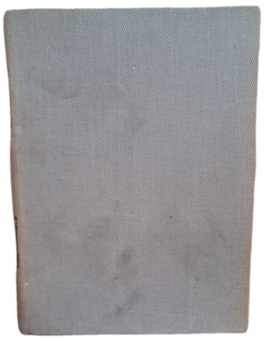 Dicionário da Língua Portuguesa V (Usado)