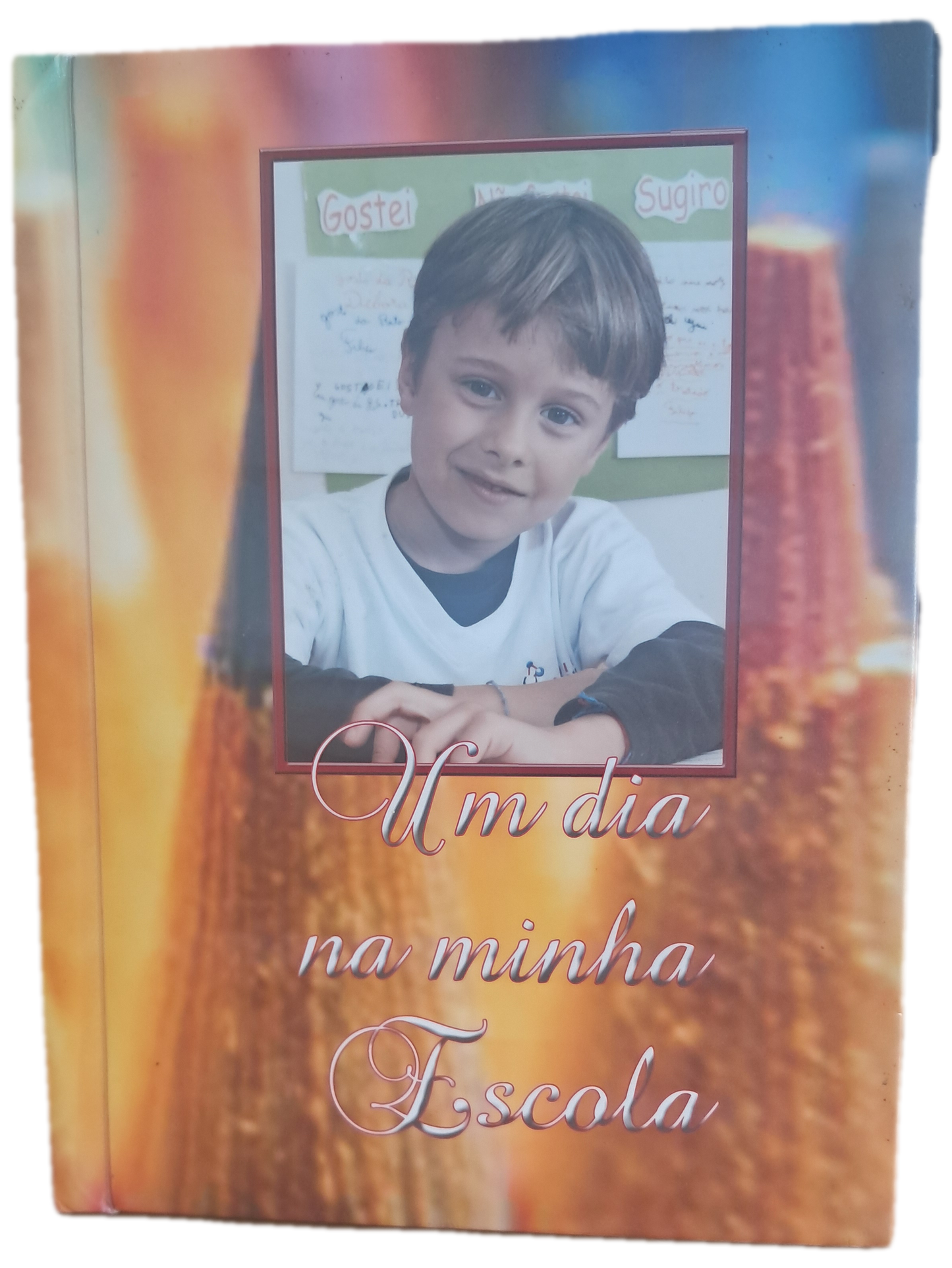 Um Dia Na Minha Escola (Bom Estado)