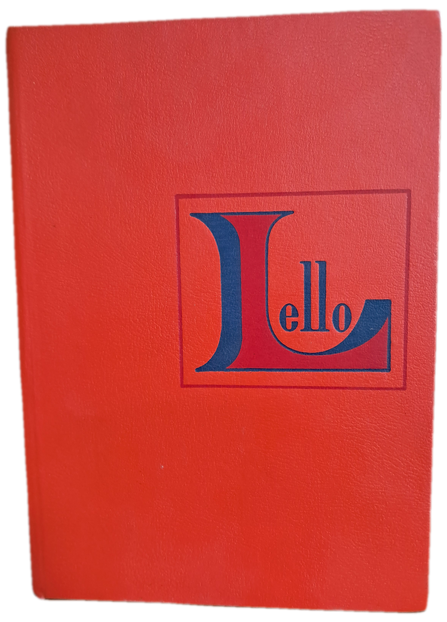 Dicionário Prático Ilustrado (Bom Estado)