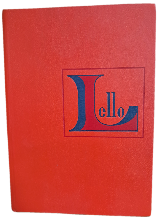 Dicionário Prático Ilustrado (Bom Estado)