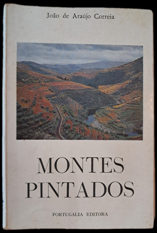 Montes Pintados (Usado)