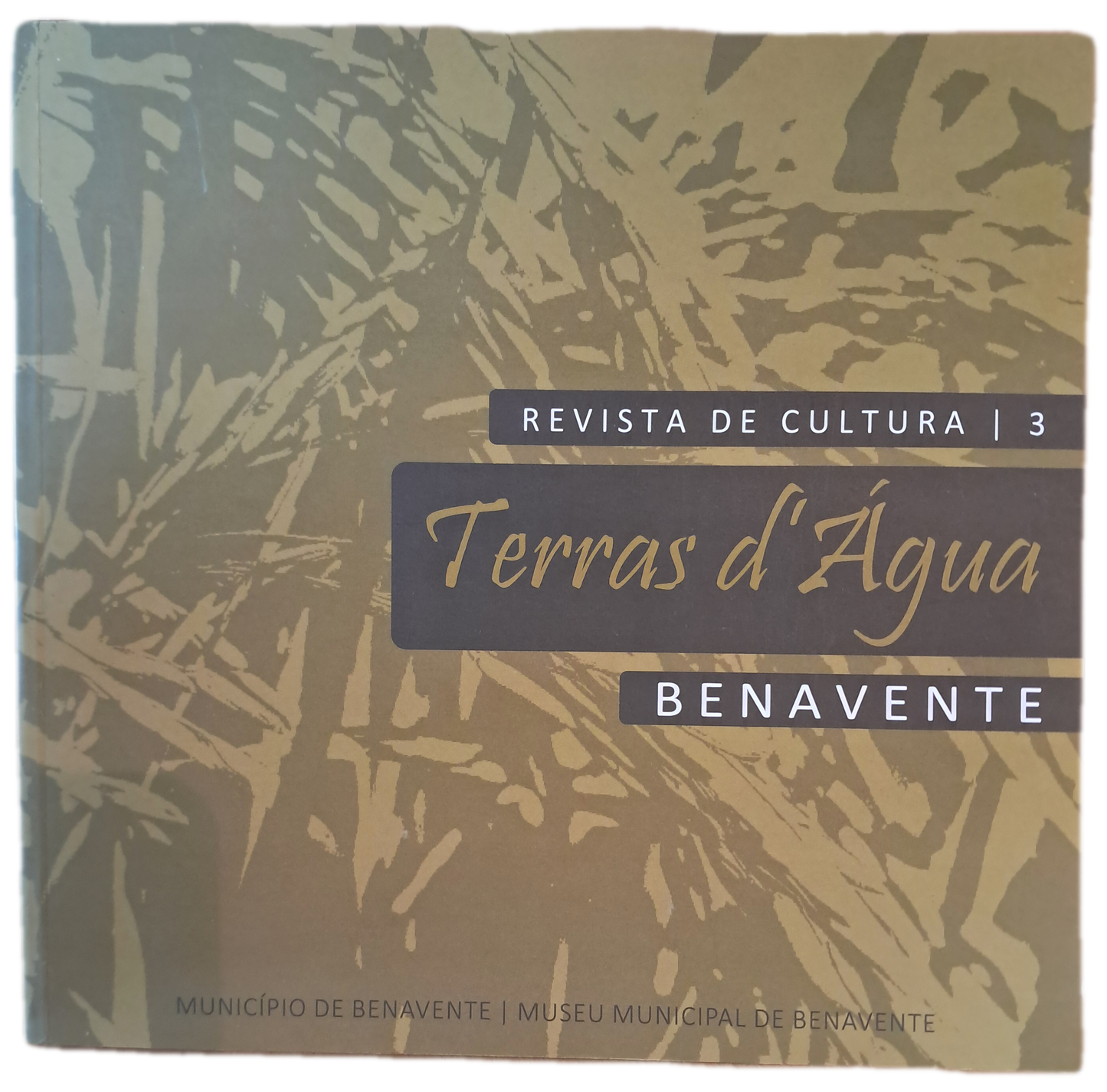 Revista de Cultura 3 Terras d'Água Benavente