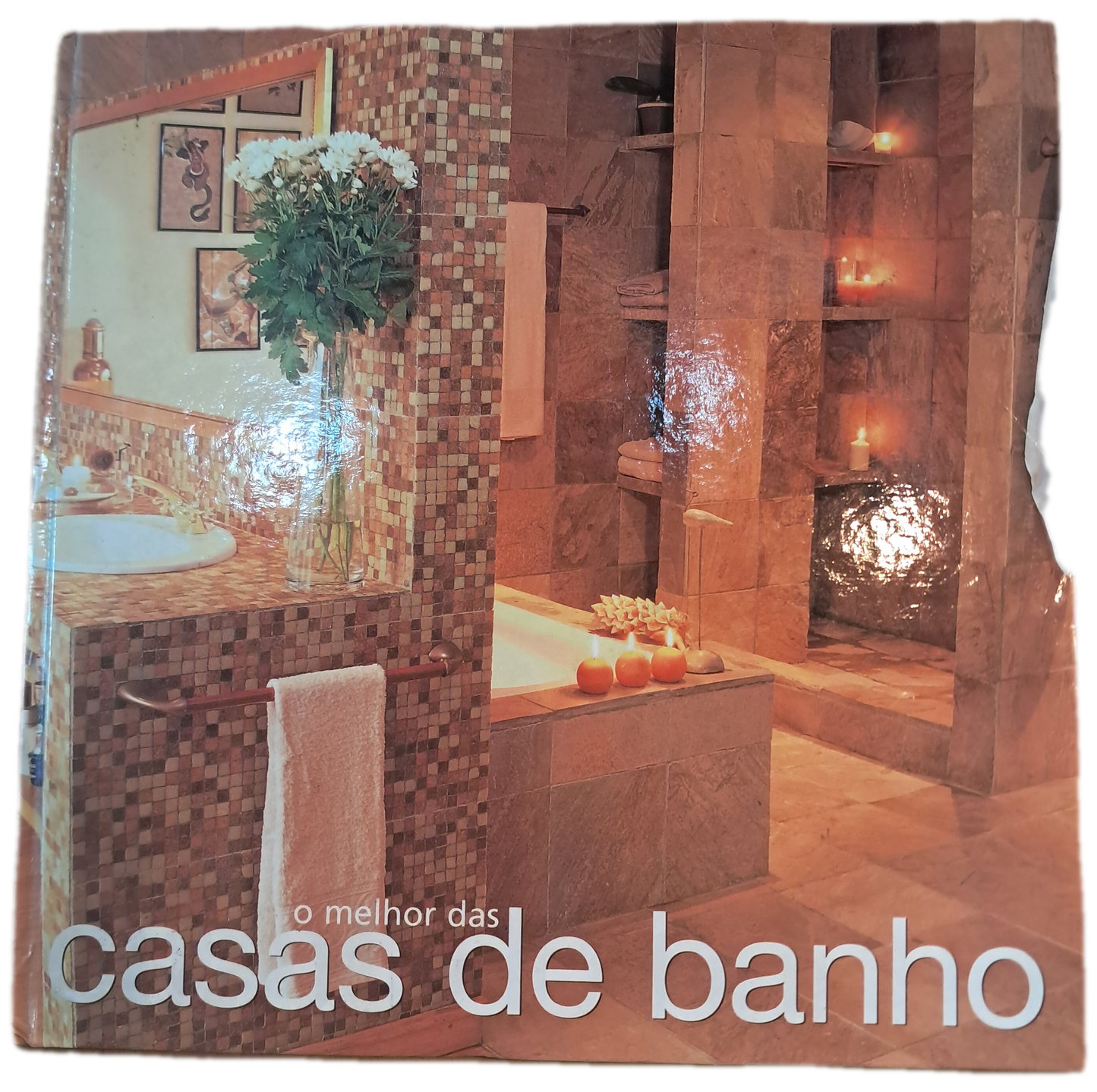O Melhor das Casas de Banho (Bom Estado)