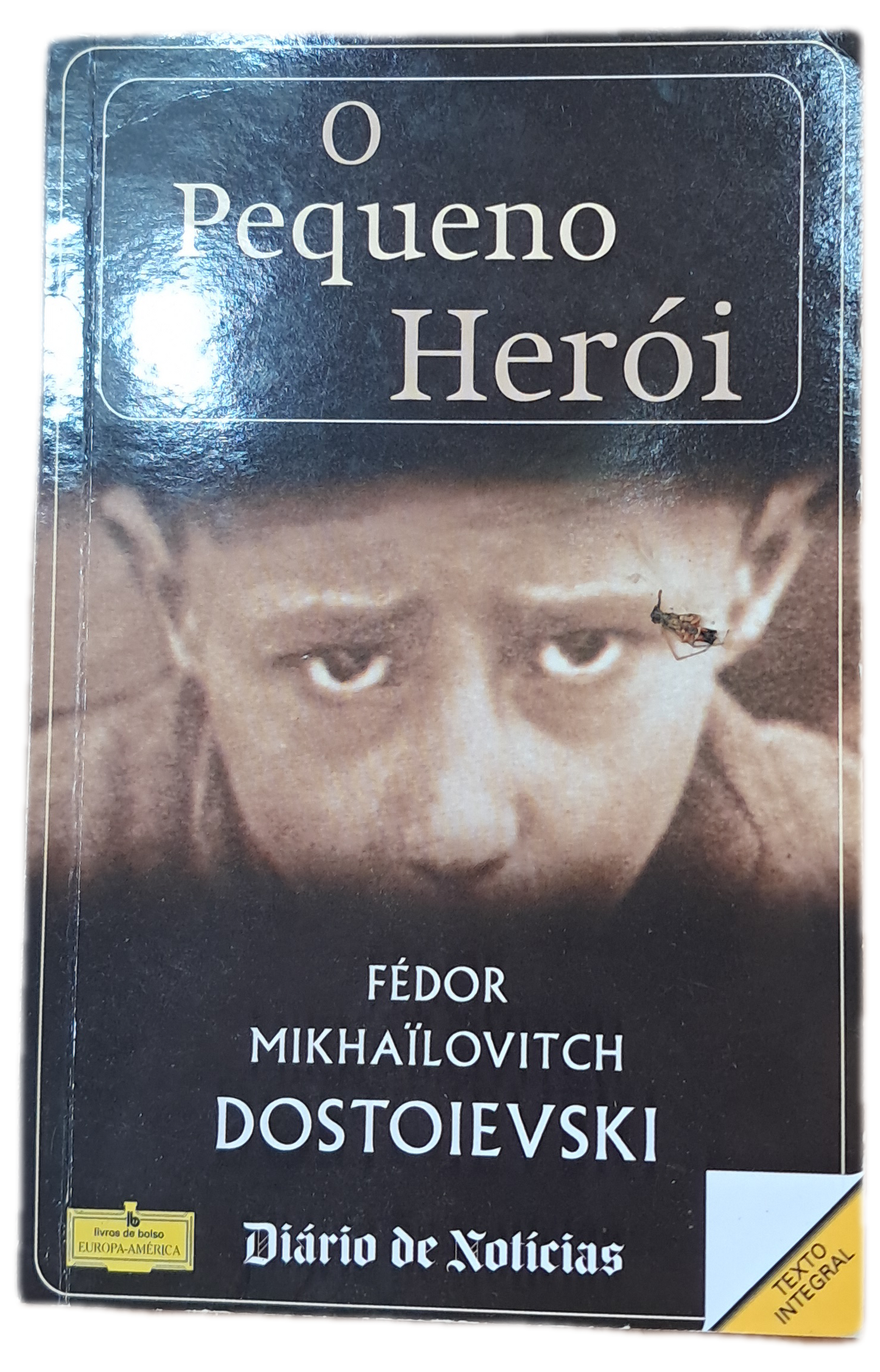 O Pequeno Herói