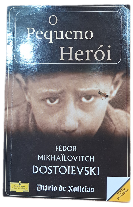 O Pequeno Herói