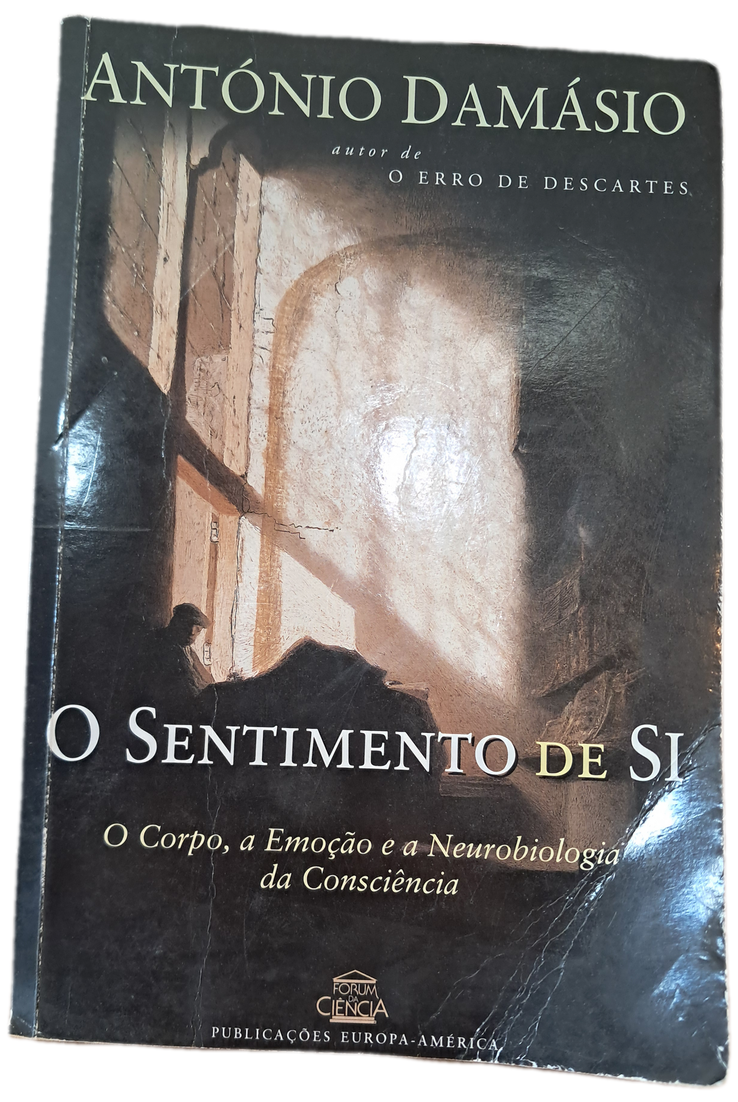 O Sentimento de Si (Usado)