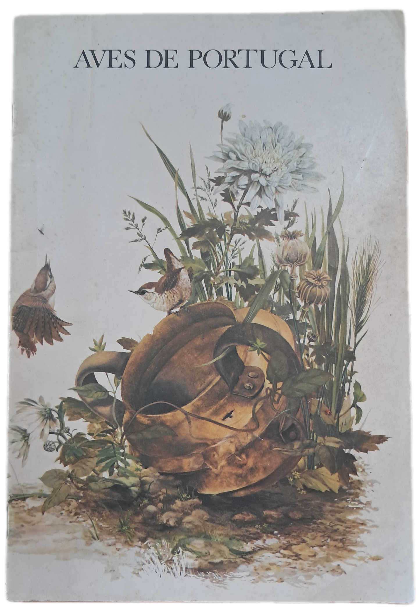Aves de Portugal (Usado)