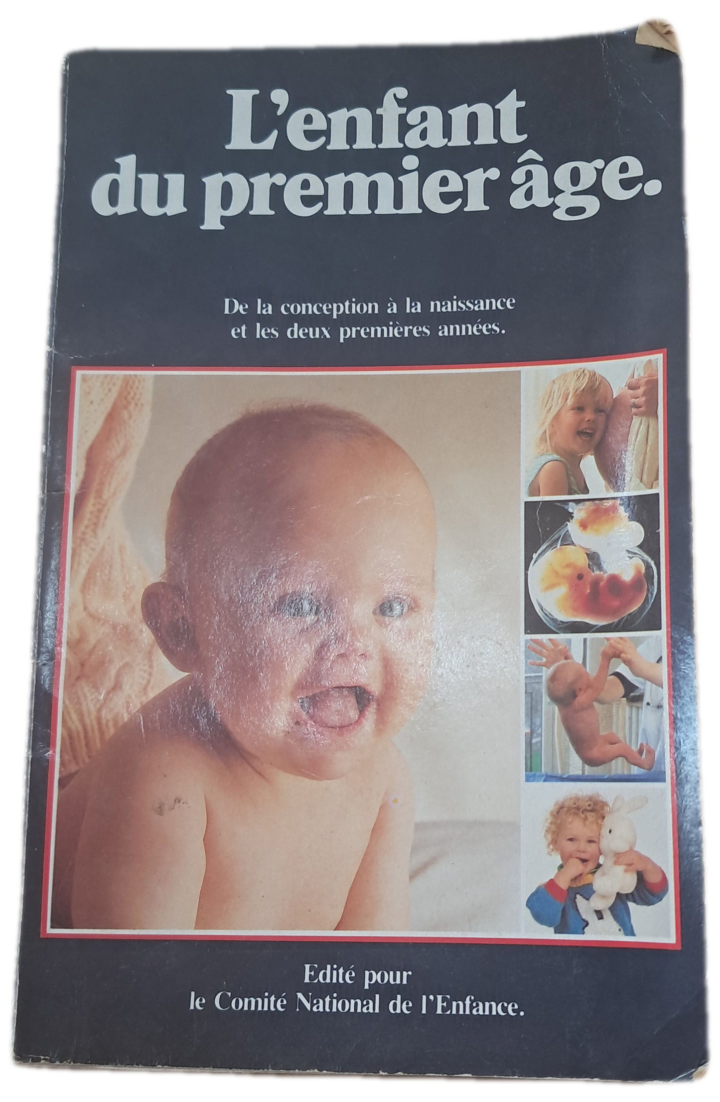 L'Enfant du Premier Âge (Usado)