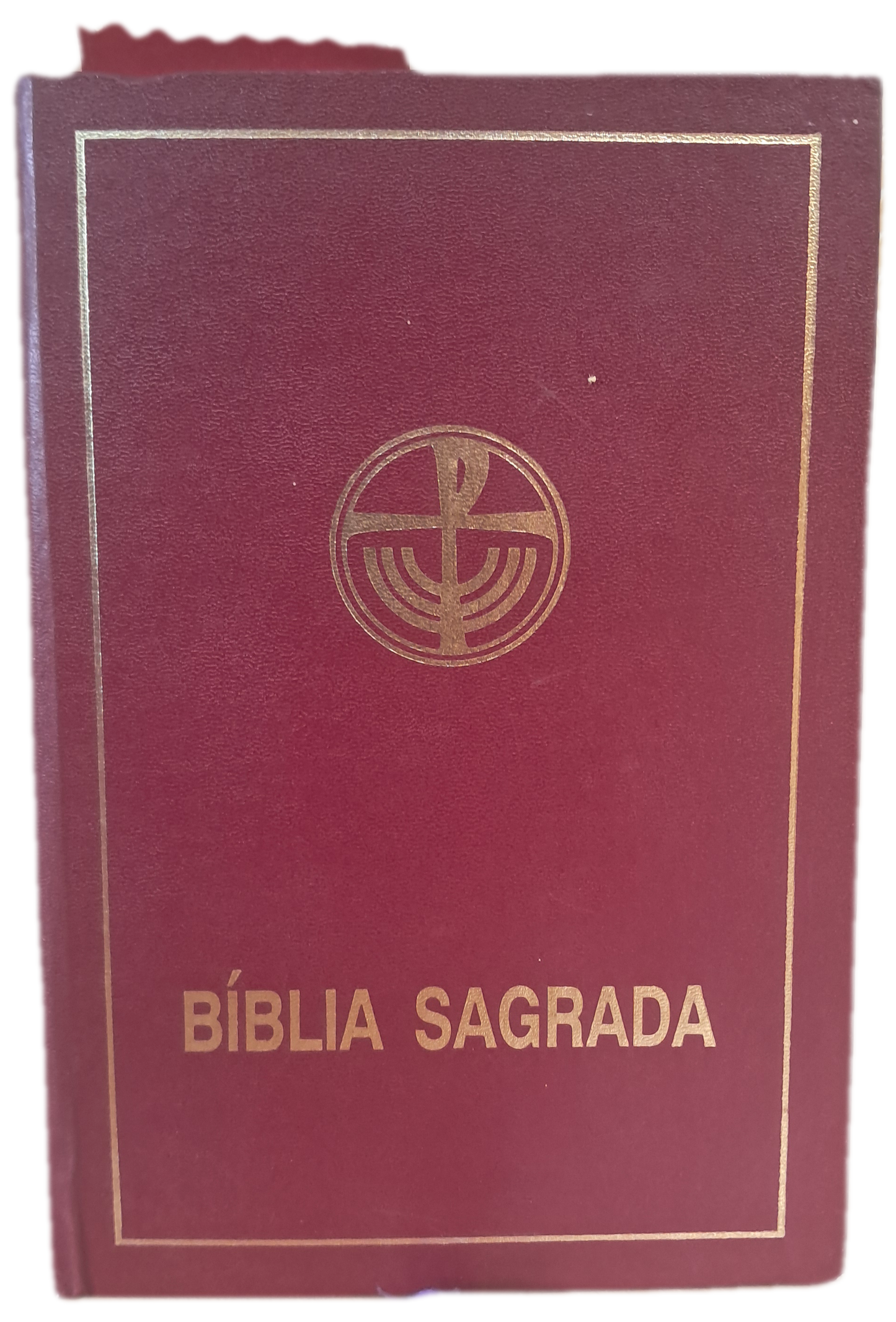 Bilia Sagrada (Bom Estado)