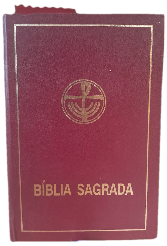 Bilia Sagrada (Bom Estado)