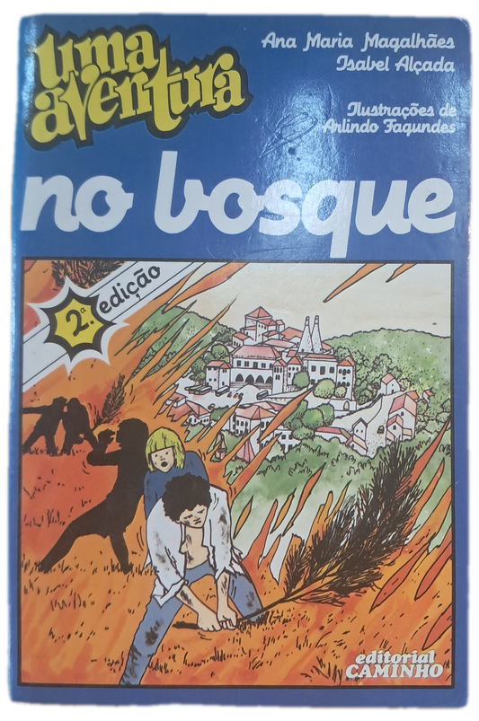 Uma Aventura no Bosque (Bom Estado)