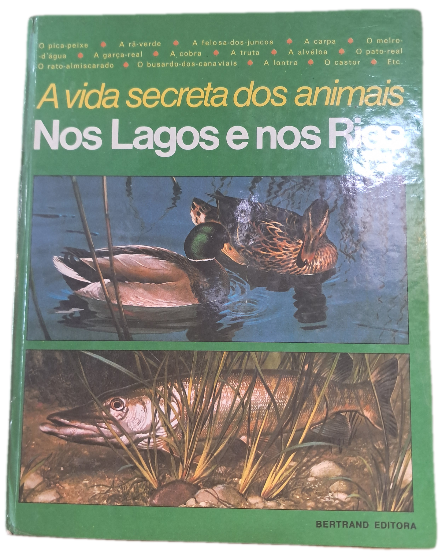 A Vida Secreta dos Animais Nos Lagos e nos Rios (Bom Estado)