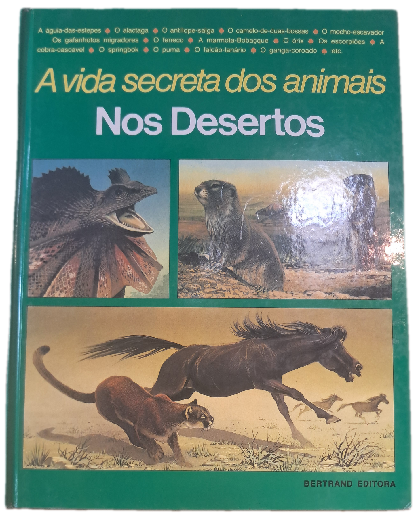 A Vida Secreta dos Animais Nos Desertos (Bom Estado)