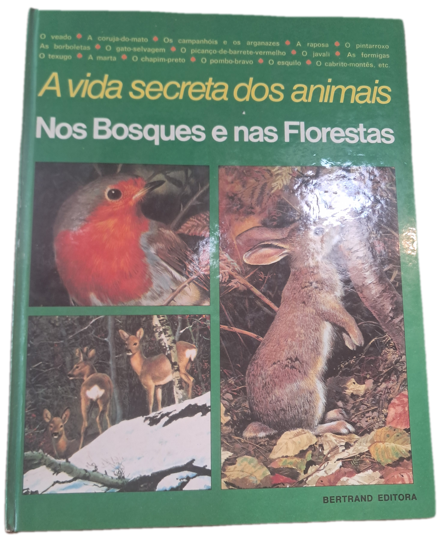 A Vida Secreta dos Animais Nos Bosques e nas Florestas (Bom Estado)
