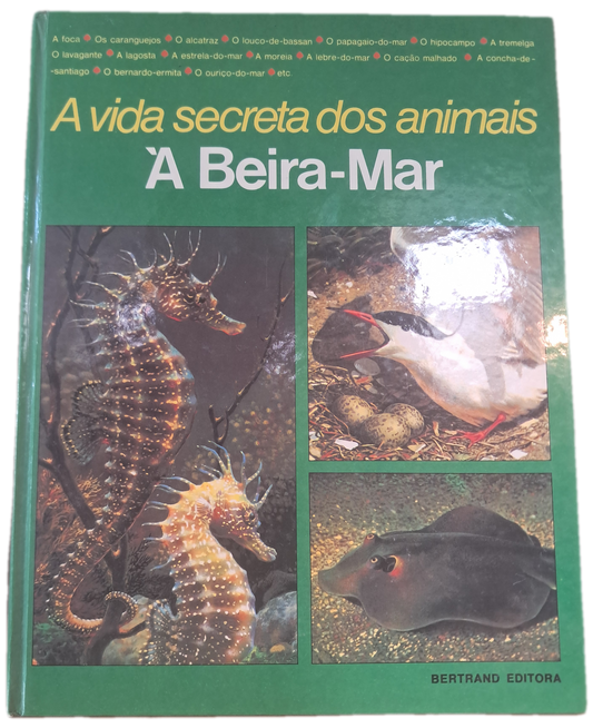 A Vida Secreta dos Animais À Beira-Mar (Bom Estado)