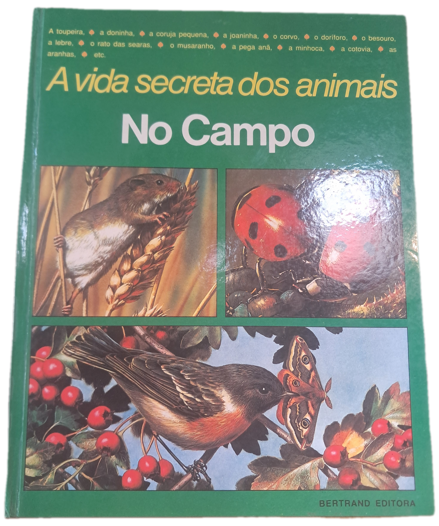 A Vida Secreta dos Animais No Campo (Bom Estado)