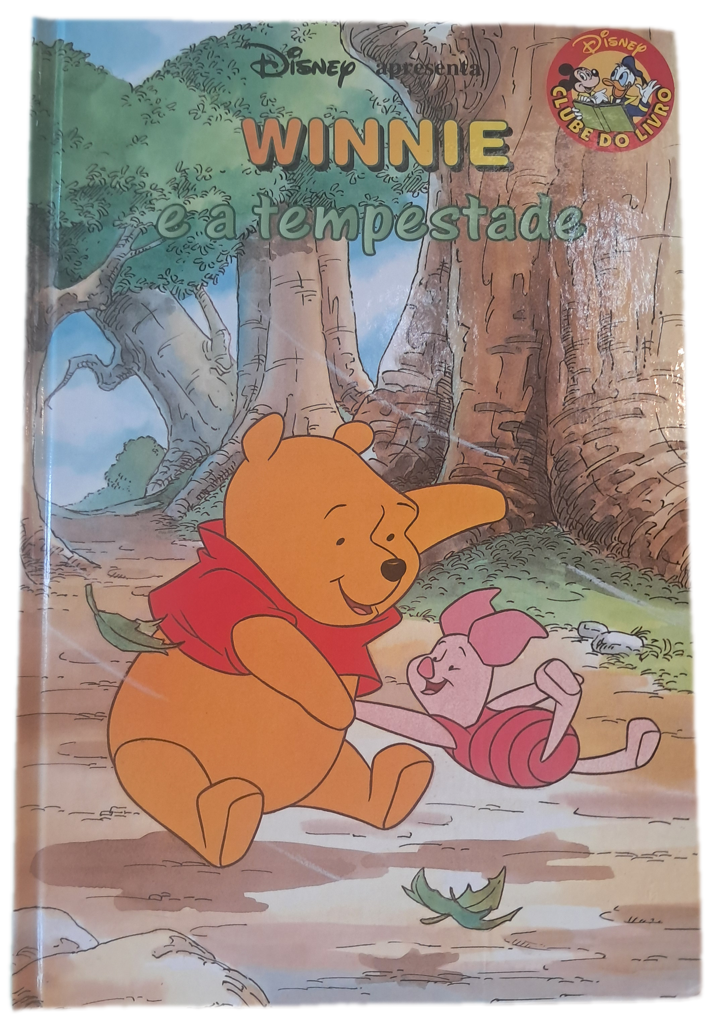Winnie e a Tempestade
