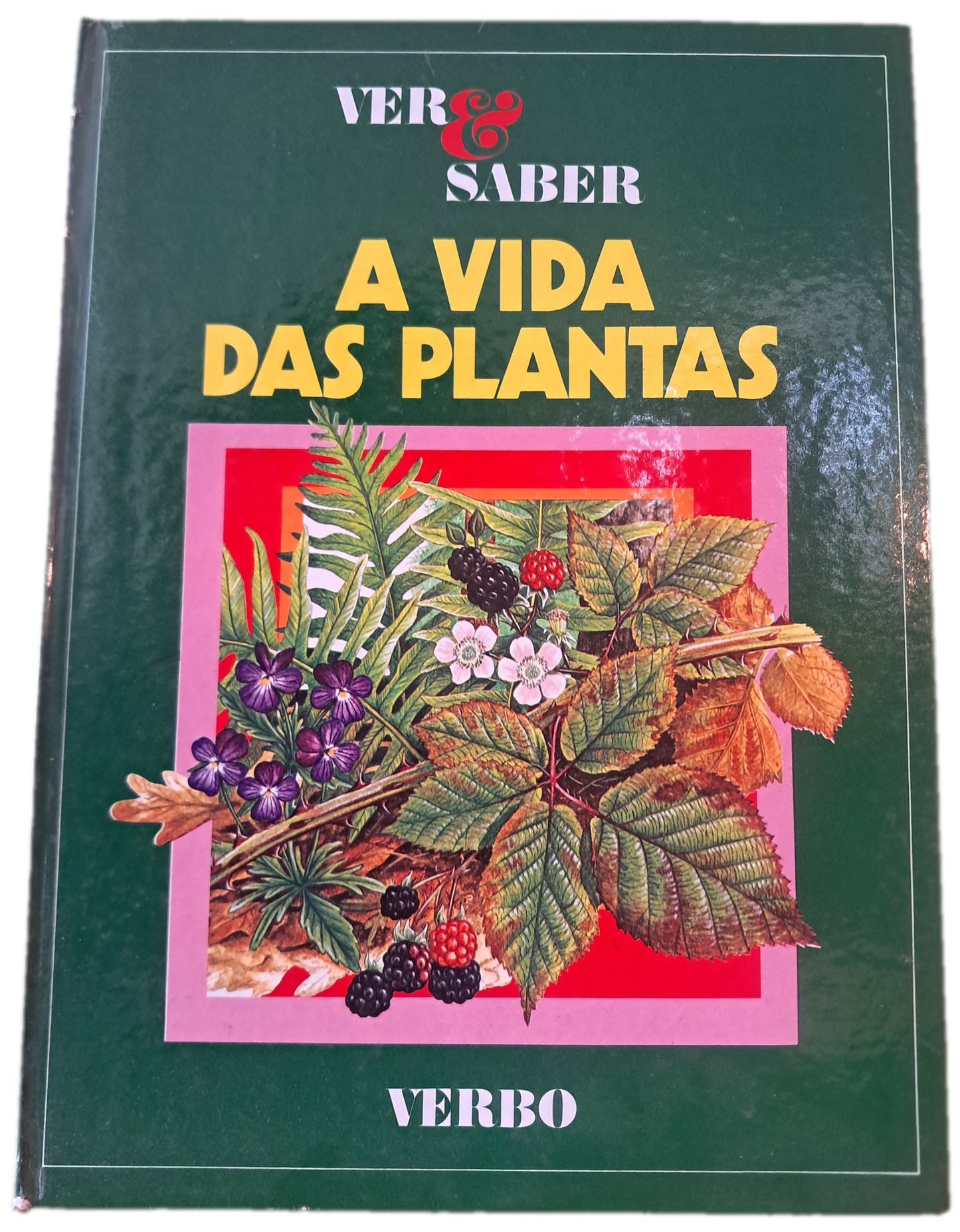 Ver & Saber A Vida das Plantas (Usado)
