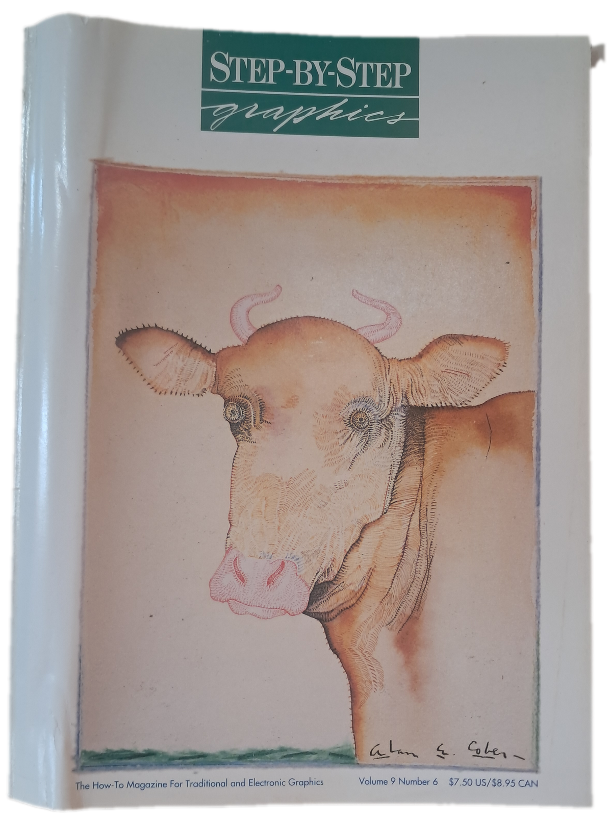 Step-by-Step Graphics Volume 9 Number 6 (Usado)