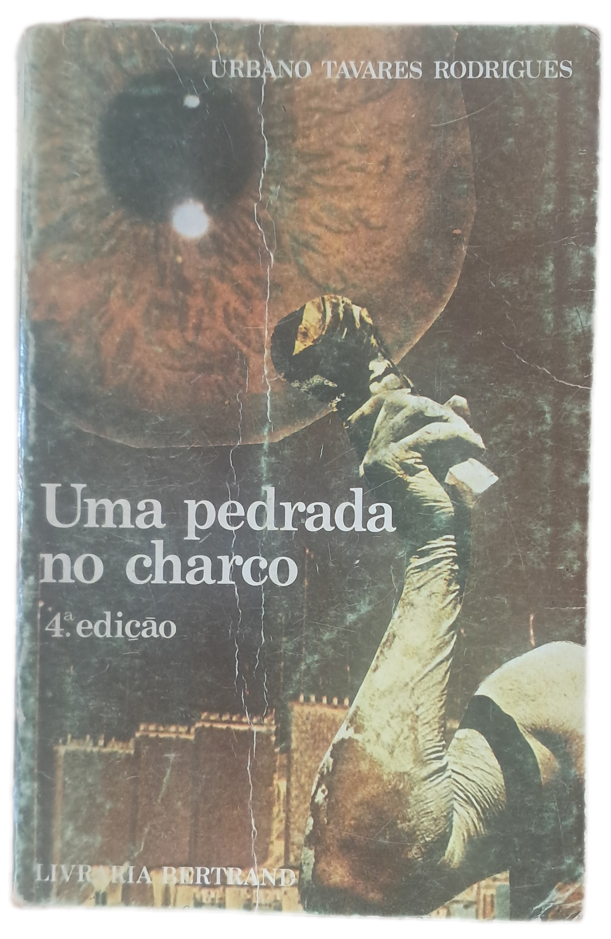 Uma Pedrada no Charco (Usado)