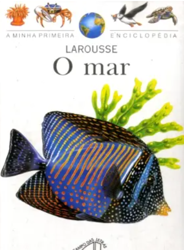 A Minha Primeira Enciclopédia Larousse - O Mar (Bom Estado)