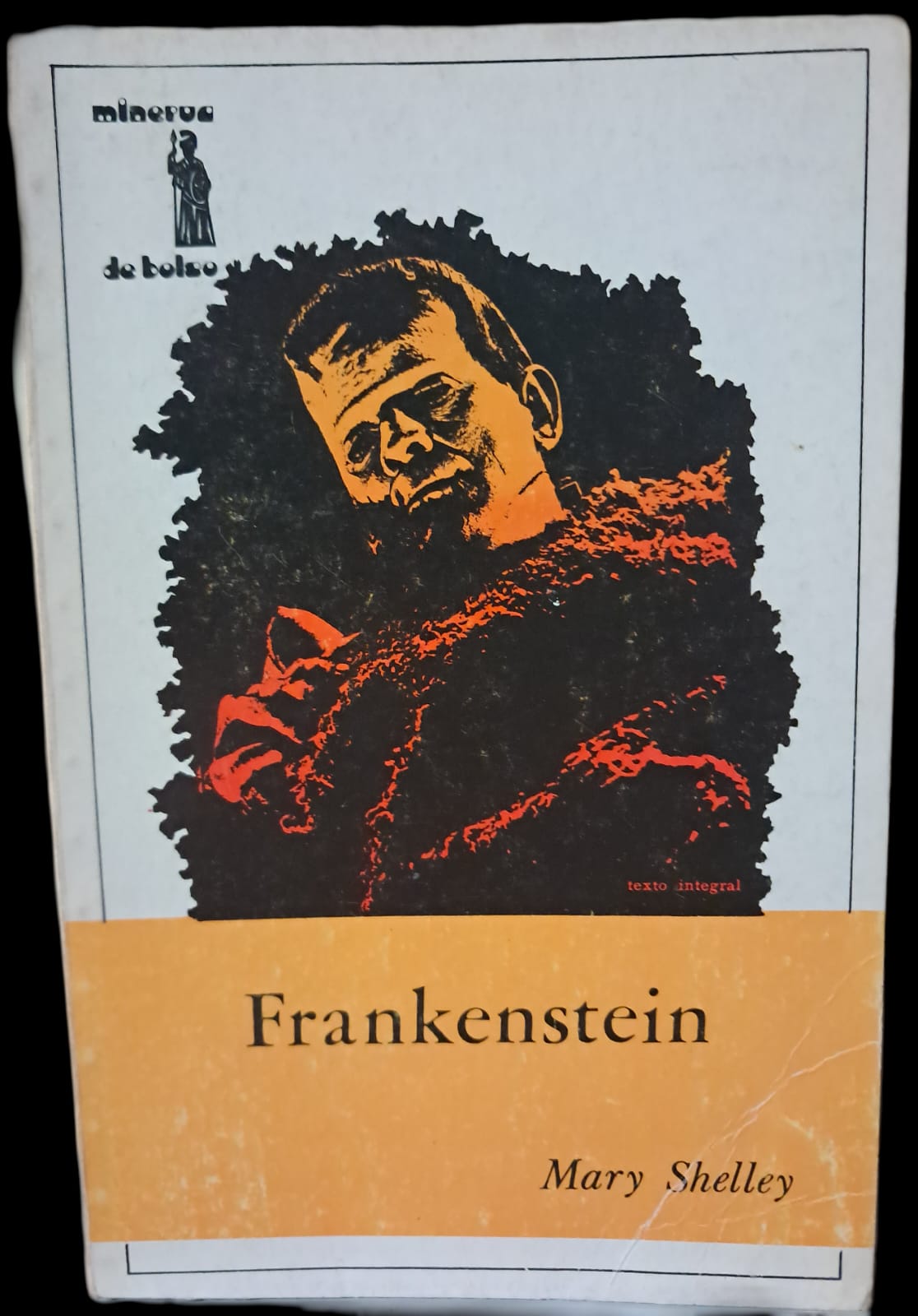 Frankenstein (Usado)