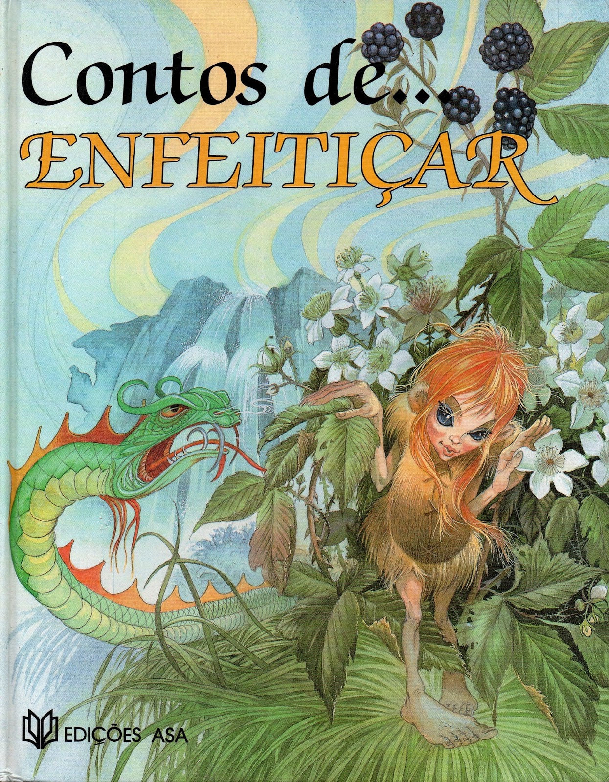 Contos de Enfeitiçar (Bom Estado)