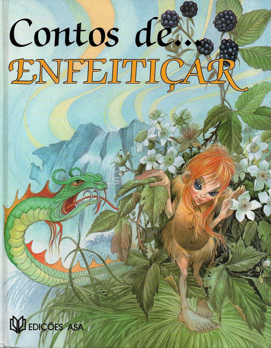 Contos de Enfeitiçar (Bom Estado)