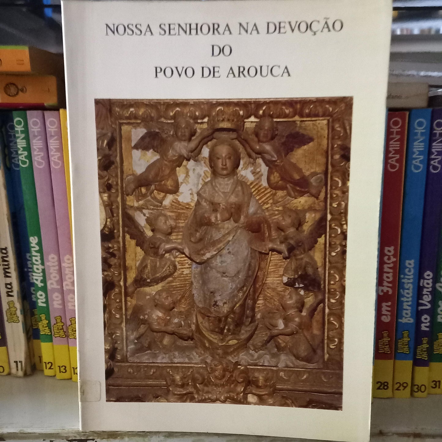 Nossa Senhora na Devoção do Povo de Arouca (Muito Bom Estado)