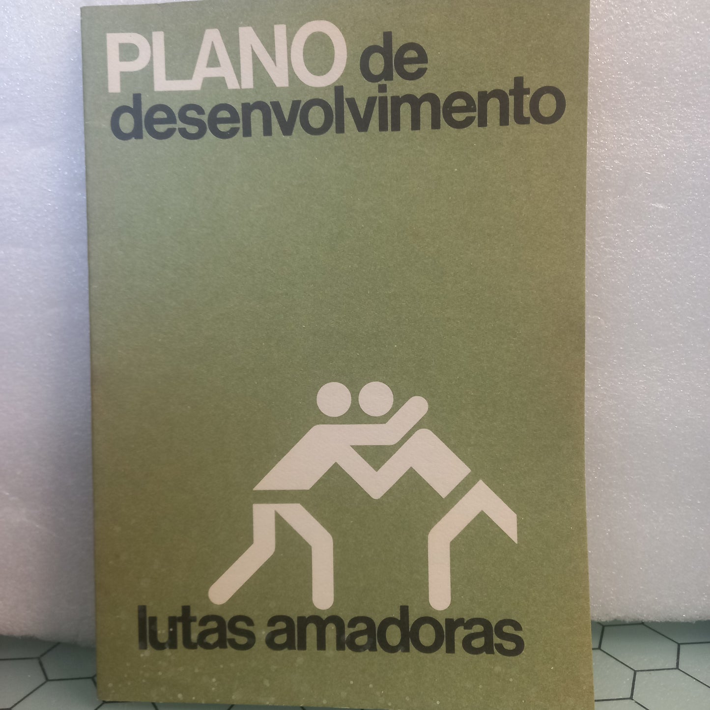 Plano de Desenvolvimento Lutas Amadoras (Bom Estado)