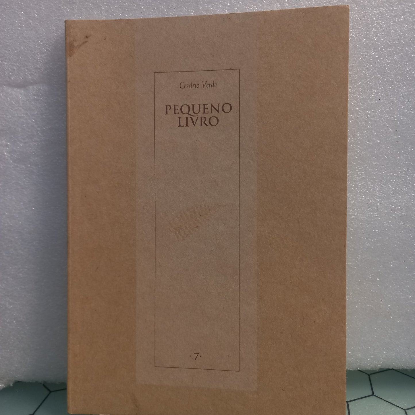 Pequeno Livro (Muito Bom Estado)